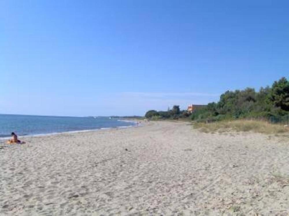 Appartement T2 Bord de Mer - Maria Beach Santa-Lucia-di-Moriani Exterior foto